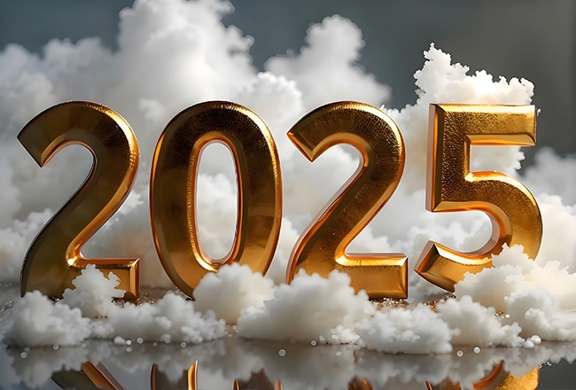 ��������2025