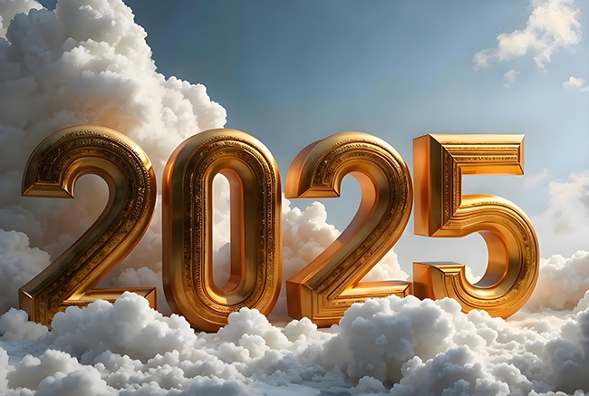 2025��ɫ����