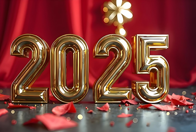 �����ʸ�2025����