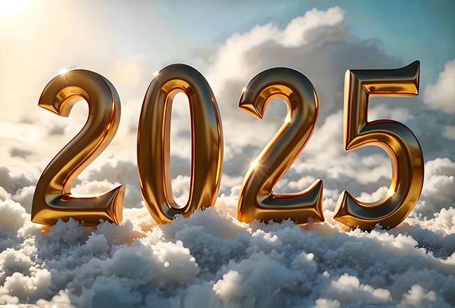2025�������