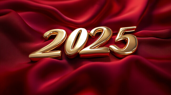 2025�������걳��
