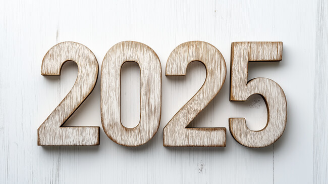 2025ľͷ������дͼƬ