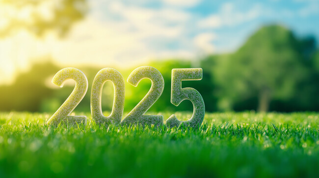 2025���±�ֽͼƬ