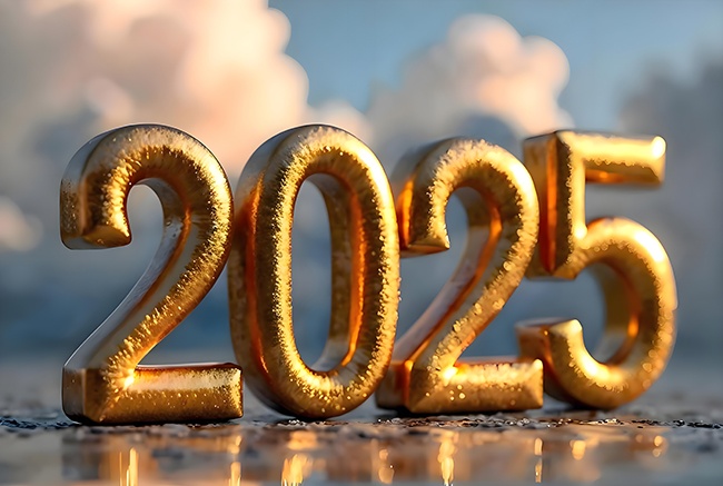 2025��������