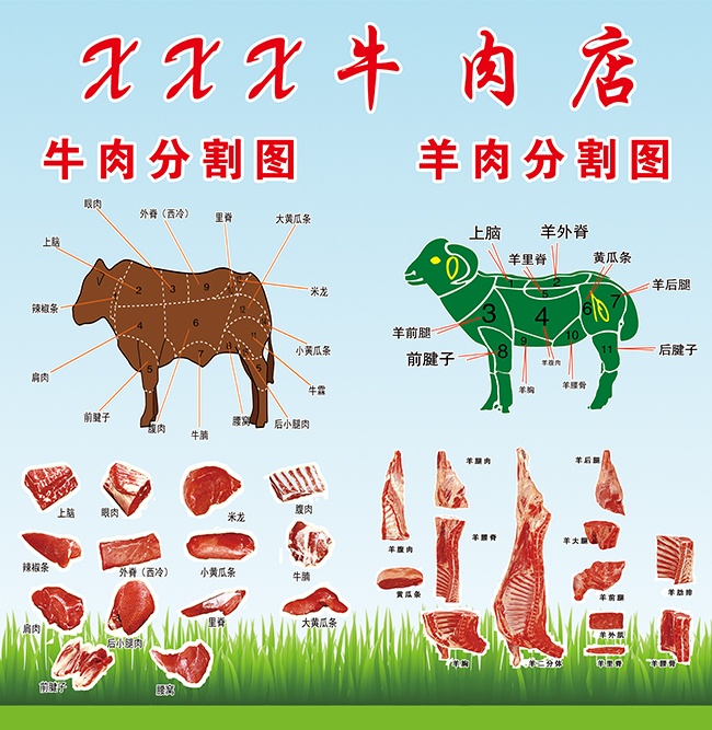 ţ����ָ�չ��ͼƬ����