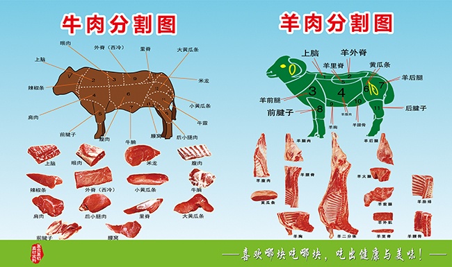 ţ����ָλͼչ��