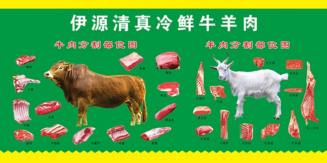 ţ����ָ�����չ��