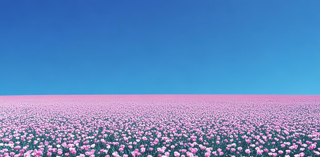 ���컨������ͼƬ�ز�
