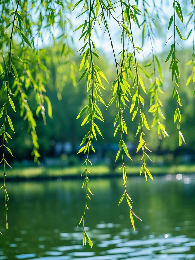 �����羰ͼƬ�ز�