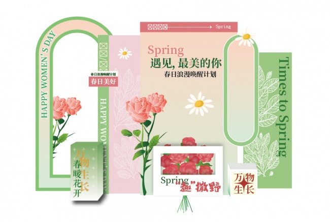 �̳����첼�������������