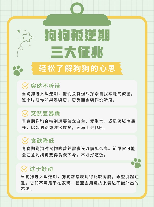 ���﹥��С���麣��ͼƬ