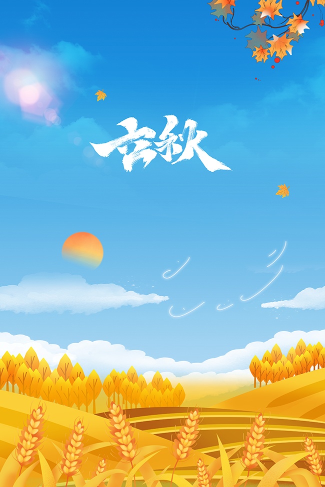�ֻ����챳�������������