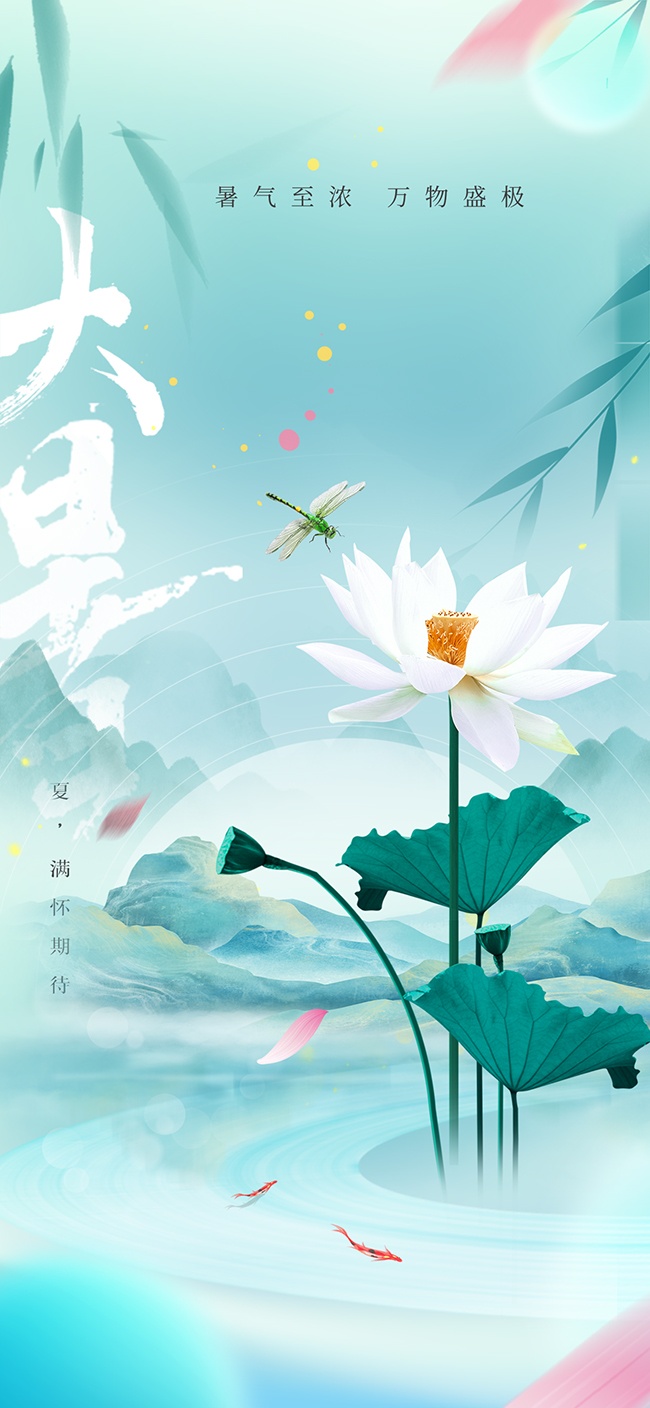 荷花背景大暑节气广告
