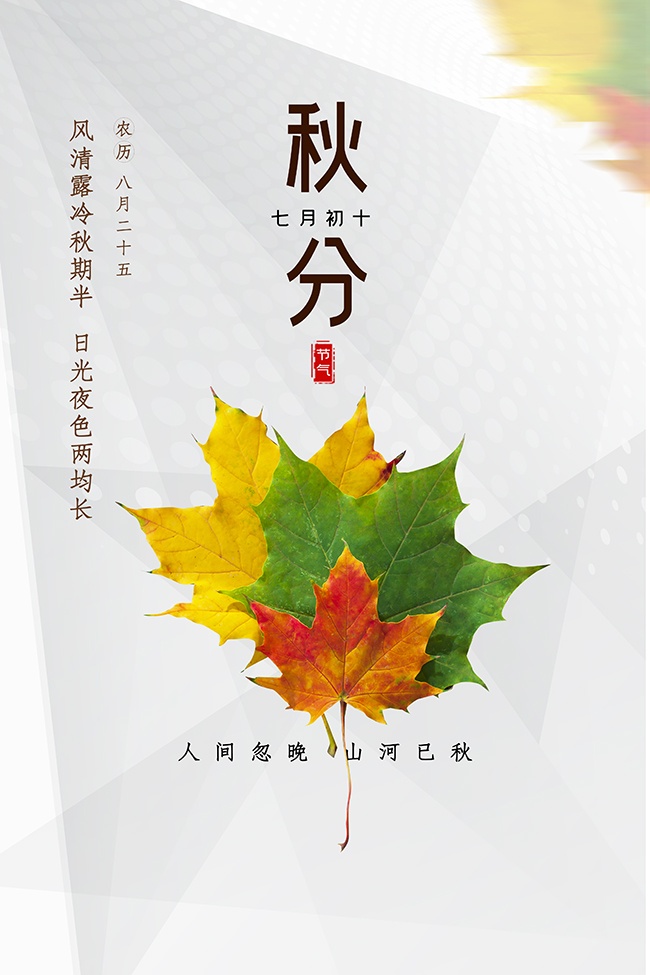 秋分节气海报