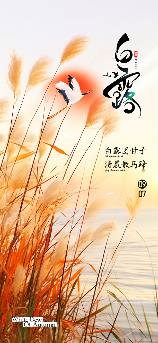 浪漫白露节气海报