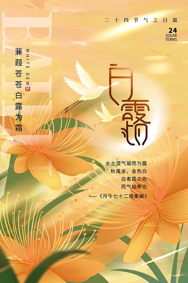 �ֻ滨��廭��¶�������