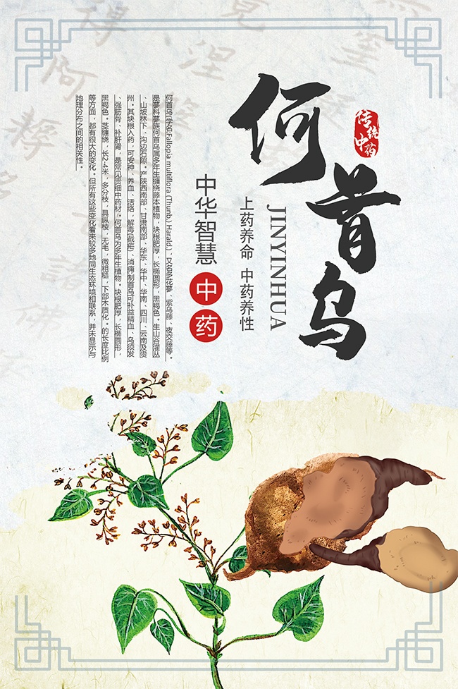 中药文化何首乌中医药海报图片素材