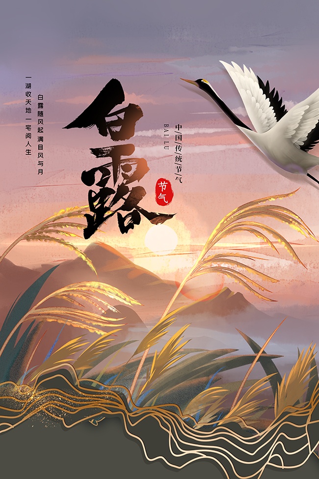 Ϧ����¶�������