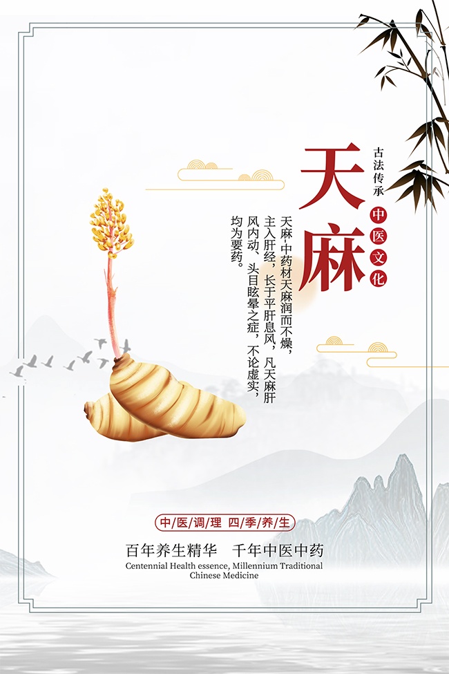 传统中医药天麻药理知识海报
