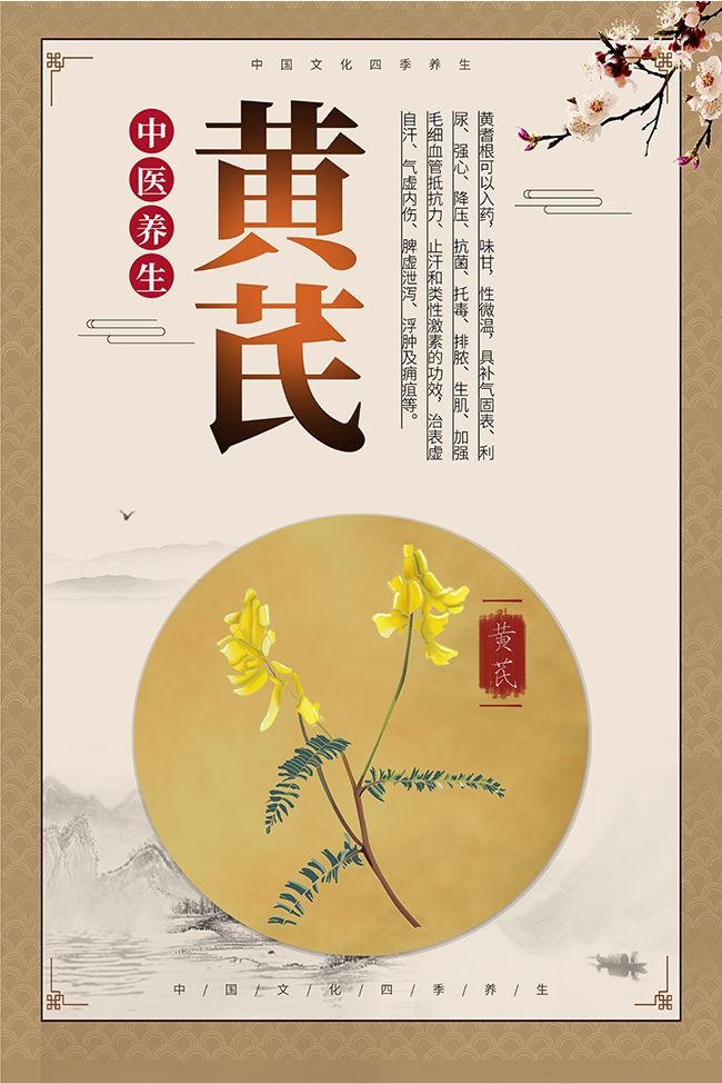 中医养生药材黄芪知识科普图片下载