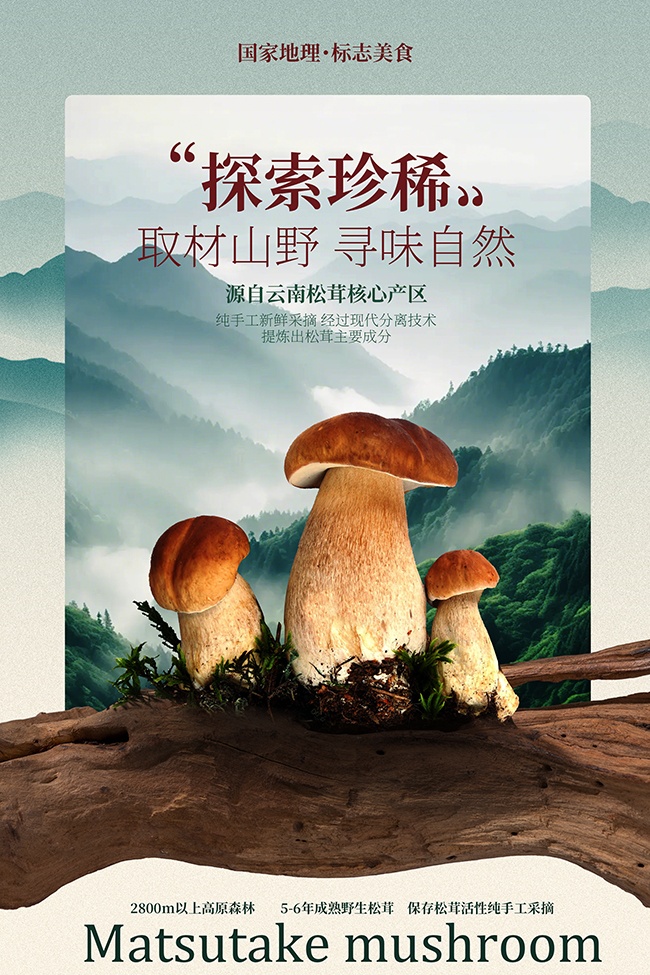 取材山野寻味自然松茸食材宣传海报