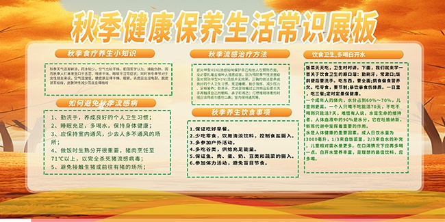 ���＾��������֪ʶչ��