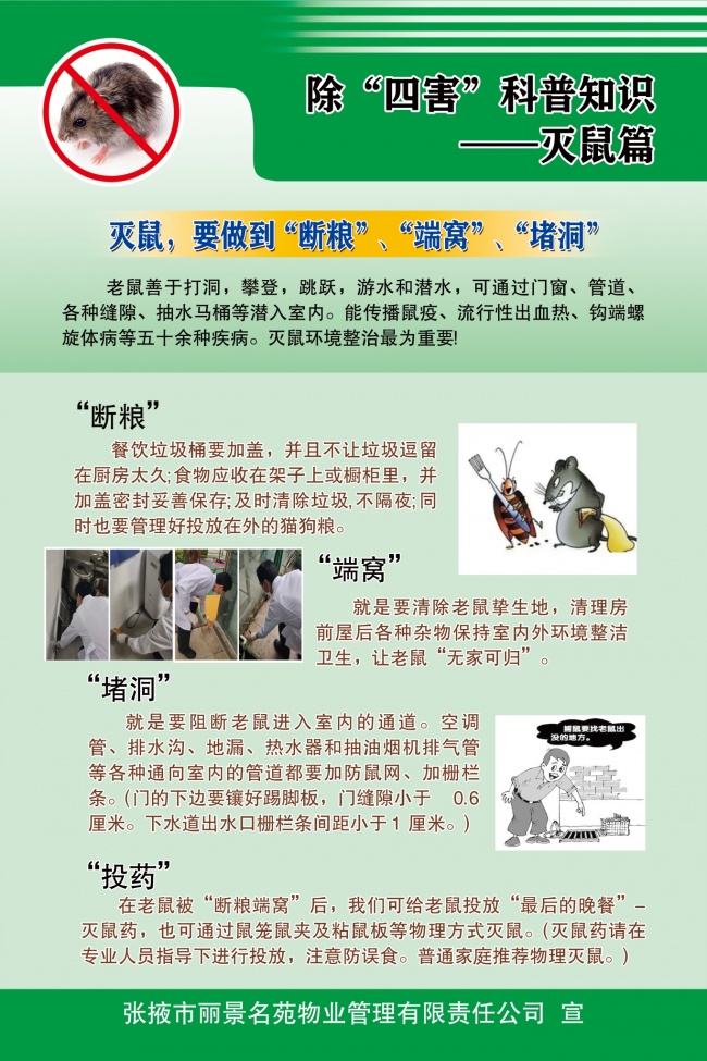 灭鼠除四害科普图片素材