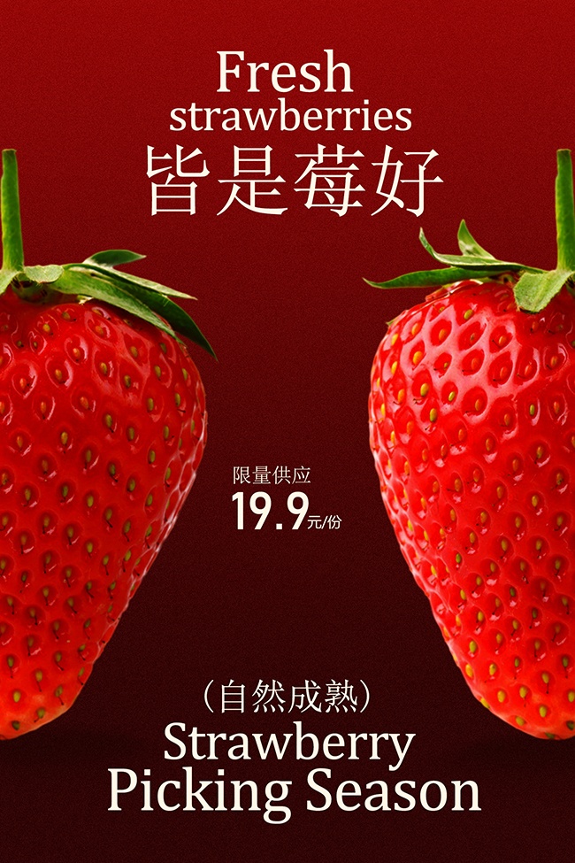 ���ʲ�ݮ�������ò�ժ����������