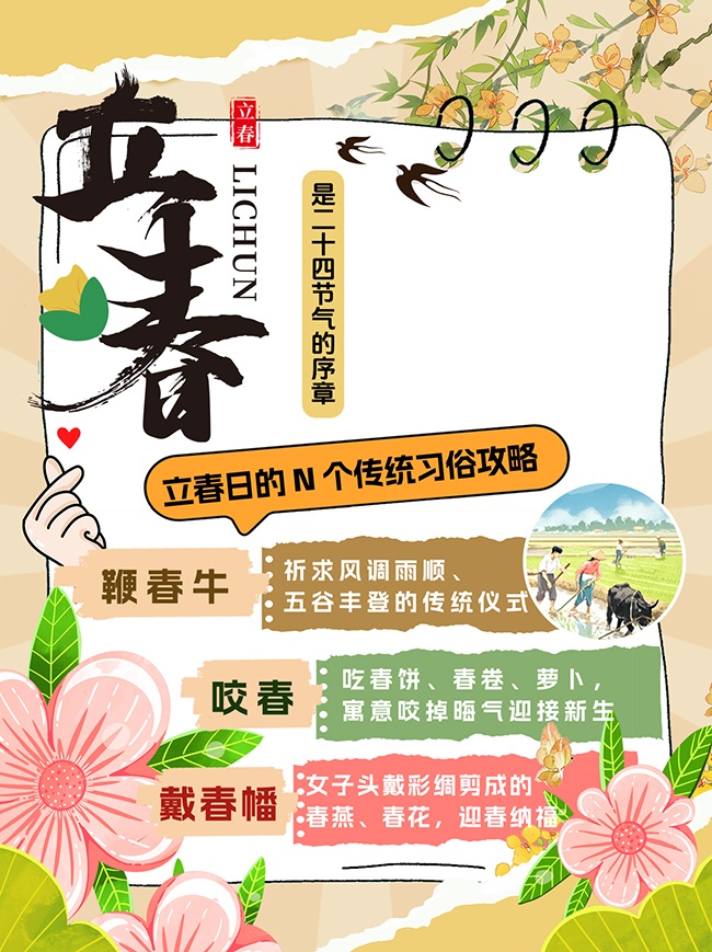 简约立春二十四节气习俗小红书封面海报