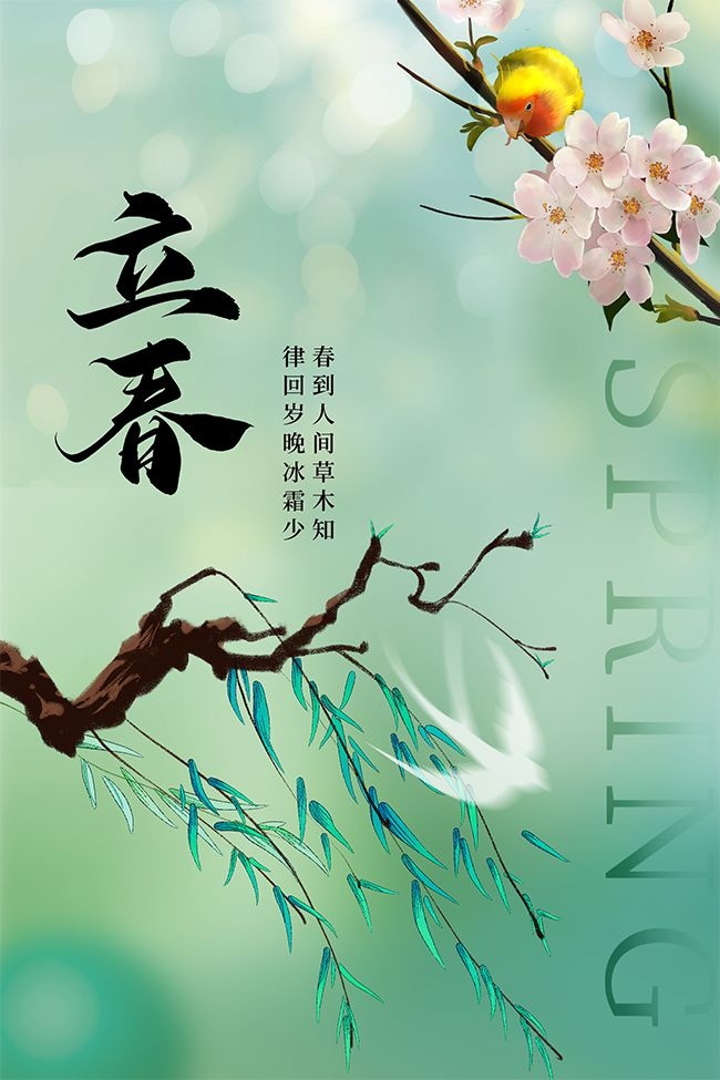自然清新立春节气广告设计