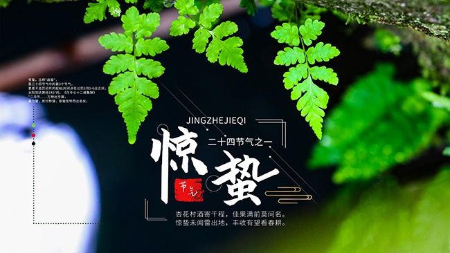 ���ݶ�ʮ�Ľ�������ͼƬ�ز�