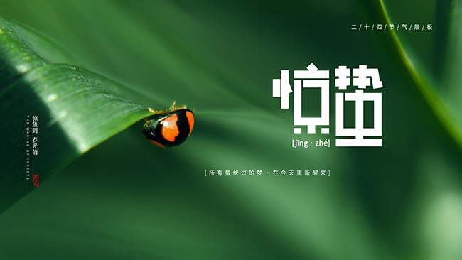 ���ݽ�������ͼƬ�ز�