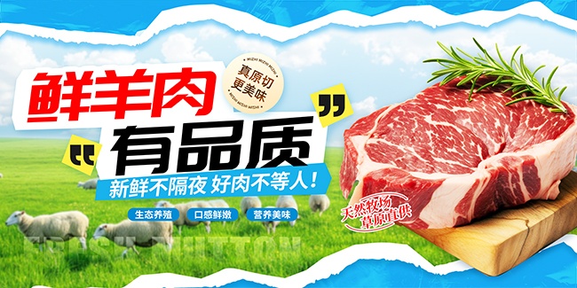 撕纸风新鲜羊肉生鲜肉类展板