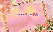 粉色情人玫瑰与边框