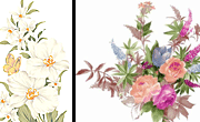 古典PSD花卉