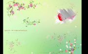 时尚花纹婚纱相册PSD