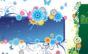 漂亮的矢量花纹