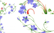 精美PSD花藤素材