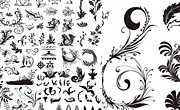 黑白矢量花纹