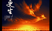 特效凤凰与火纹