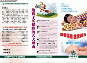 中国平安三折页模板