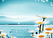 梦幻菊花风景