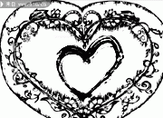 �ڰ׻�������