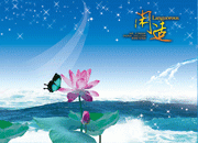 梦幻荷花风景