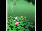 夏季荷塘风景