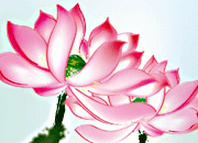 ˮ�ʺɻ�ͼ