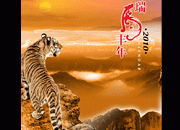 虎年高清素材