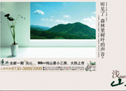 山脉地产内页