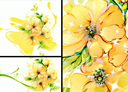 ˮ�۰�쵻���