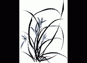 水墨画 兰花大图
